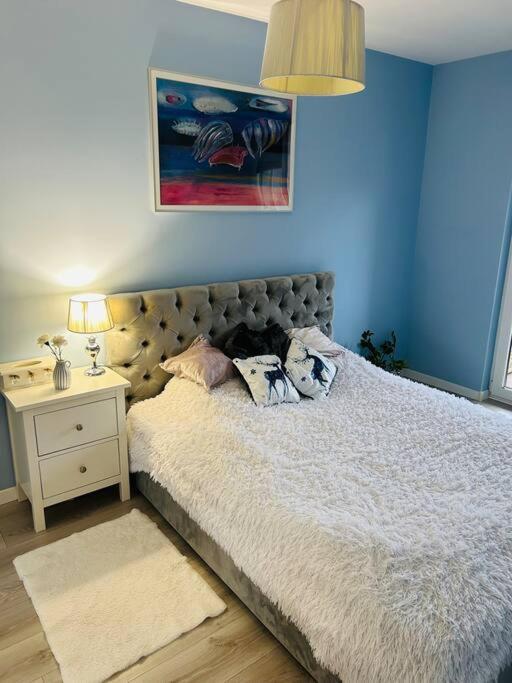 Komfortowy Apartament Krokusowa Apartament Kraków